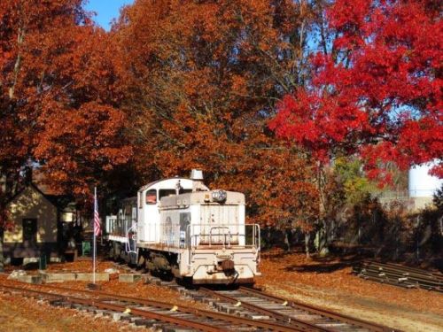 A vintage train on tracks surrounded by vibrant red and orange autumn leaves.