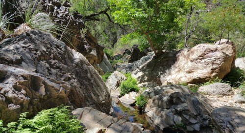 A rocky landscape with a small stream and lush greenery, surrounded by large boulders and trees.