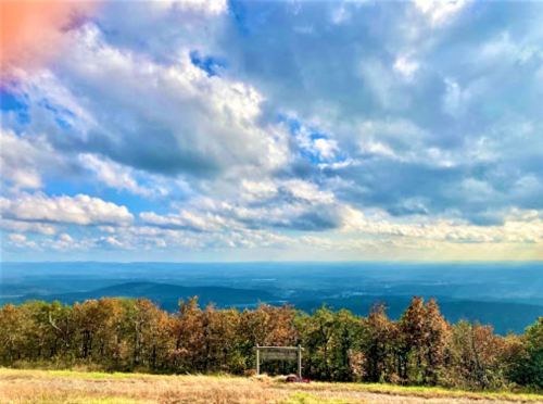 A scenic view of rolling hills and a cloudy sky, with trees in the foreground and a distant horizon.