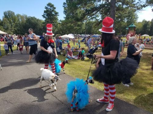 Two people in striped hats and tutus walk goats in colorful tutus at a lively outdoor festival with many attendees.