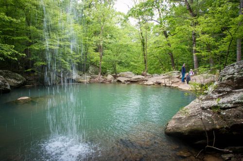 A serene forest scene with a waterfall cascading into a clear pool, surrounded by lush greenery and rocky terrain.