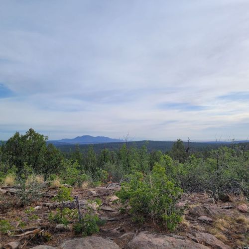 A scenic view of rolling hills and distant mountains under a cloudy sky, surrounded by greenery and rocky terrain.