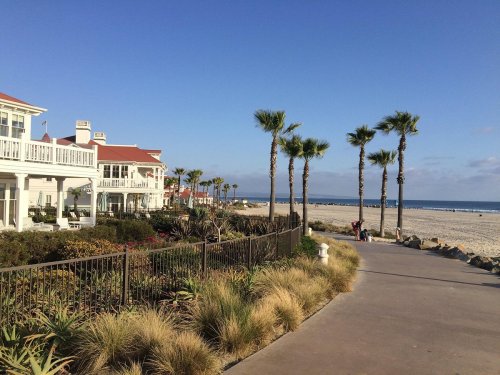 Coastal scene with palm trees, beach, and beachfront homes under a clear blue sky. Pathway leads to the shore.