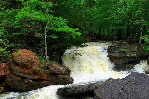 A rushing waterfall cascades over rocks, surrounded by lush green trees in a serene forest setting.