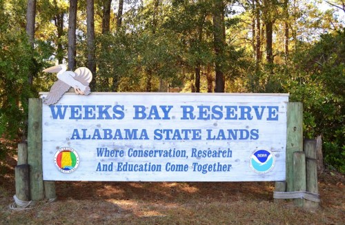 Sign for Weeks Bay Reserve in Alabama, highlighting conservation, research, and education, surrounded by trees.