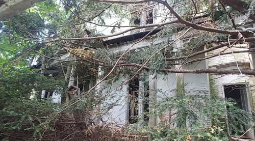 Overgrown ruins of a dilapidated building, partially hidden by trees and branches.