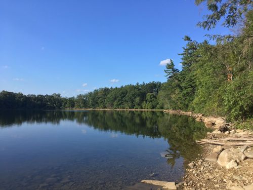 A serene lake surrounded by trees under a clear blue sky, with calm water reflecting the landscape.