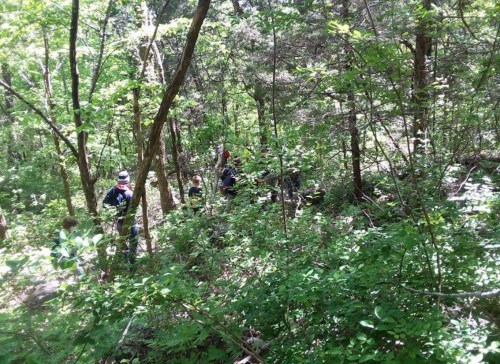 A group of people walking through a dense, green forest with trees and shrubs surrounding them.