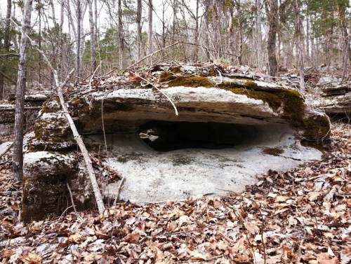A large rock formation with a hollow opening, surrounded by trees and fallen leaves in a forested area.