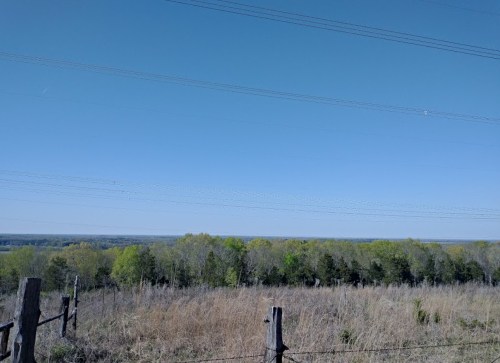 A clear blue sky over a grassy landscape with trees and power lines in the distance.