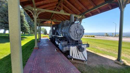 A vintage steam locomotive displayed under a covered structure, surrounded by green grass and trees.