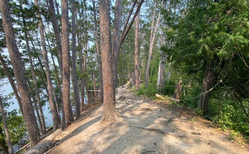 A narrow dirt path winds through tall trees beside a calm body of water, surrounded by lush greenery.