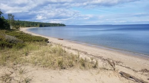 A serene beach scene with gentle waves, sandy shore, and lush greenery under a partly cloudy sky.