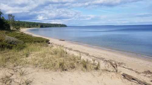 A serene beach scene with gentle waves, sandy shore, and lush greenery under a partly cloudy sky.