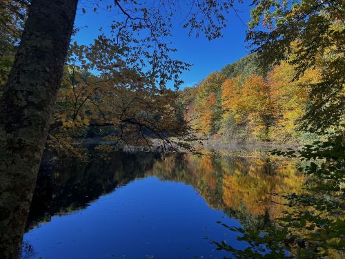 A serene lake surrounded by vibrant autumn foliage reflecting in the calm water under a clear blue sky.