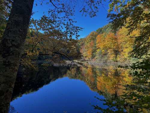 A serene lake surrounded by vibrant autumn foliage reflecting in the calm water under a clear blue sky.