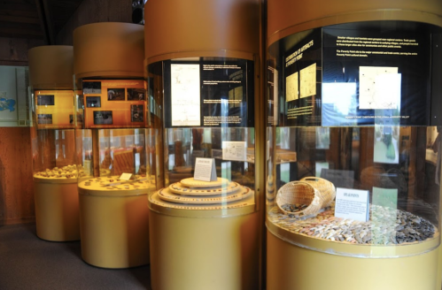 Museum display featuring glass cases with artifacts and informational panels in a well-lit room.