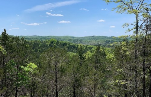 A scenic view of lush green hills and trees under a clear blue sky with scattered clouds.