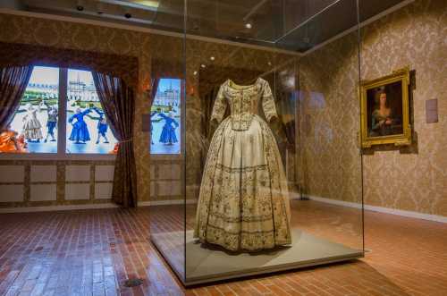 A historic dress displayed in a glass case, surrounded by ornate wallpaper and paintings in a museum setting.