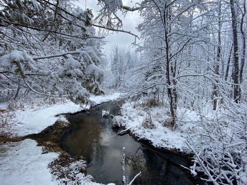 A serene winter scene featuring a snow-covered landscape with a gently flowing creek surrounded by frosted trees.