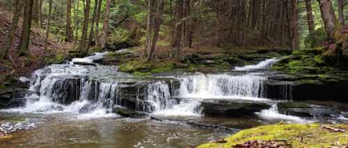 A serene forest scene featuring a cascading waterfall over moss-covered rocks, surrounded by lush greenery.