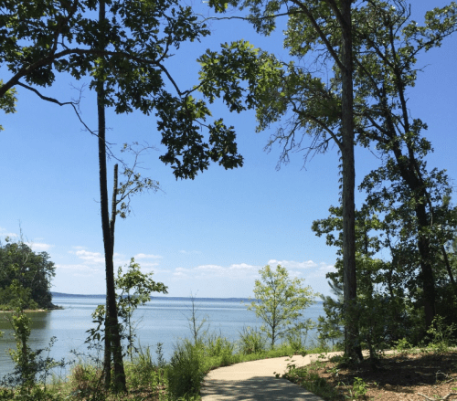 A serene lakeside view framed by trees under a clear blue sky, with a path leading towards the water.