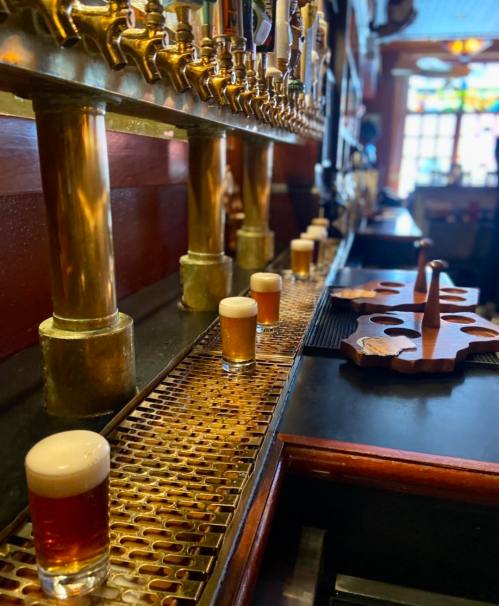 A row of small beer glasses on a bar counter with taps in the background.