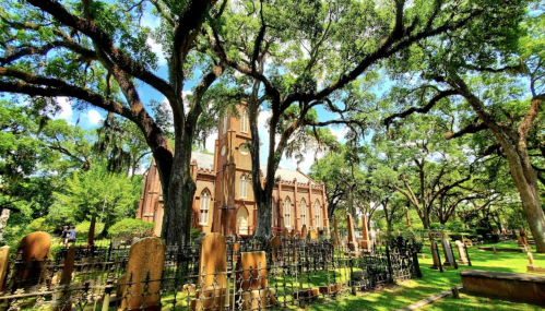A historic church surrounded by lush trees and a cemetery, with sunlight filtering through the branches.