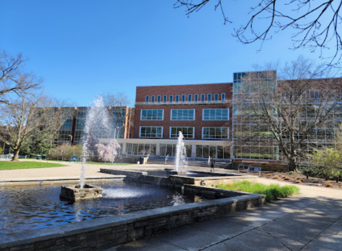 A modern building with large windows, surrounded by a pond and fountains, under a clear blue sky.