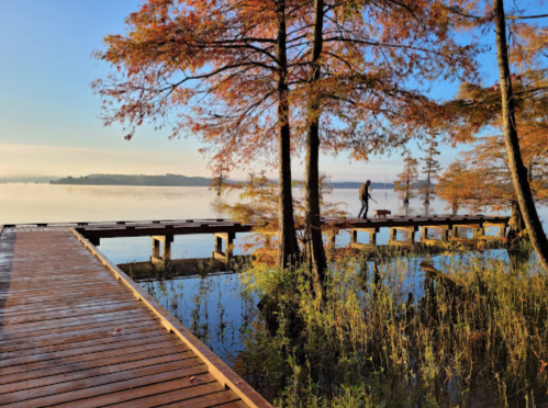 A person walks a dog along a wooden pier surrounded by autumn trees and calm water.