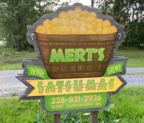 Sign for Mert's Home Grown Satsumas, featuring a basket of oranges and contact information. Located on Duckworth Rd.