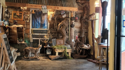A rustic interior featuring mounted animals, a fan, and wooden decor, creating a cozy, nature-themed atmosphere.