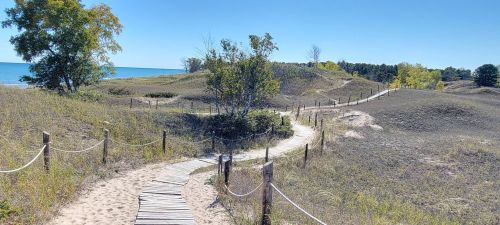 A sandy path winds through grassy dunes, leading to a serene lake under a clear blue sky.