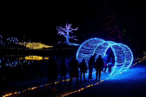 A glowing blue light tunnel with people walking through, surrounded by colorful lights and a dark night sky.