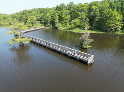 Aerial view of a wooden boardwalk extending over a calm lake, surrounded by lush green trees.