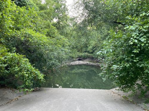 A serene, green landscape with a calm, reflective pond surrounded by lush trees and foliage.