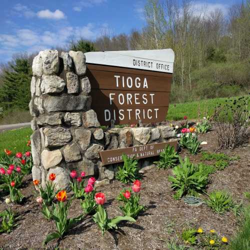 Sign for Tioga Forest District with flowers in front, set against a blue sky and green trees.