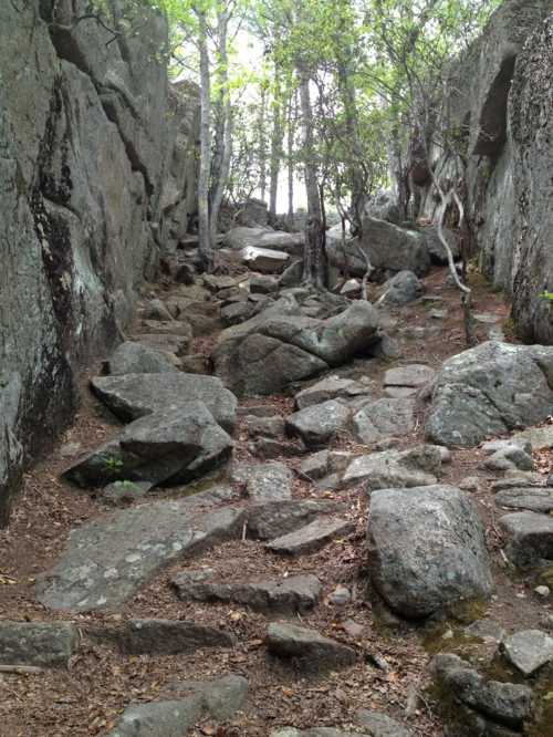 Rocky trail surrounded by trees, leading through a narrow passage between large boulders.