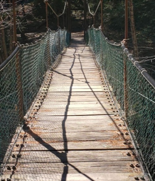 A wooden suspension bridge with a green mesh railing, surrounded by trees and casting long shadows on the path.