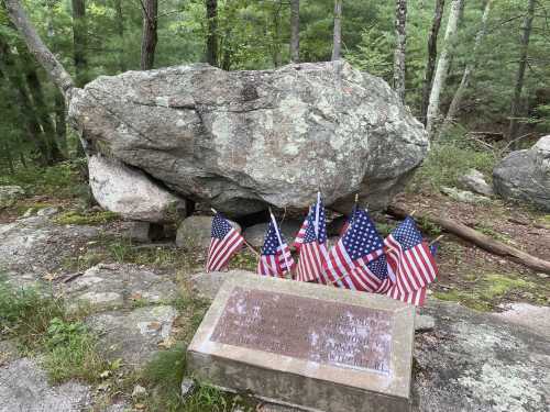 A large rock in a forest, with a plaque in front and several small American flags arranged nearby.