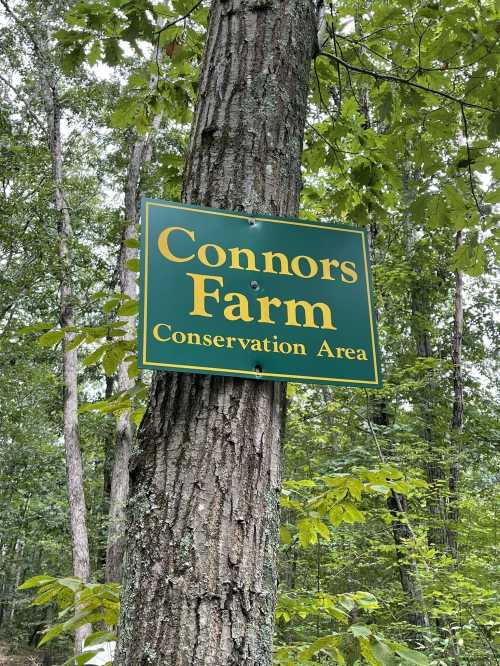 Sign on a tree reading "Connors Farm Conservation Area" surrounded by green foliage in a wooded area.