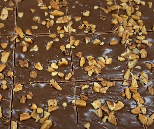 A close-up of chocolate fudge topped with chopped nuts, cut into squares.