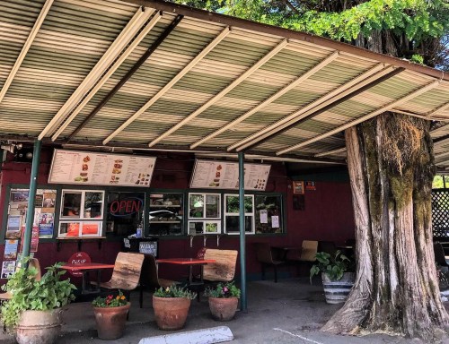 A cozy outdoor café with a large tree, menu boards, and seating under a shaded awning.