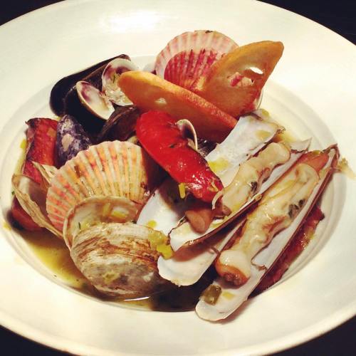 A plate of assorted seafood, including scallops, clams, and other shellfish, garnished with herbs and sauce.