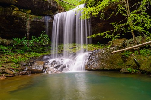 A serene waterfall cascades into a tranquil pool, surrounded by lush greenery and rocky terrain.