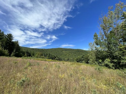 A scenic view of a grassy field with trees and rolling hills under a blue sky with wispy clouds.