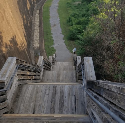 Wooden stairs lead down to a grassy path surrounded by greenery, with a wall on one side.