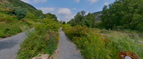 A scenic pathway surrounded by lush greenery and wildflowers, leading through a tranquil landscape under a blue sky.
