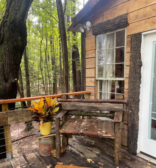 A rustic wooden cabin surrounded by trees, featuring a small porch with a wooden bench and a potted plant.
