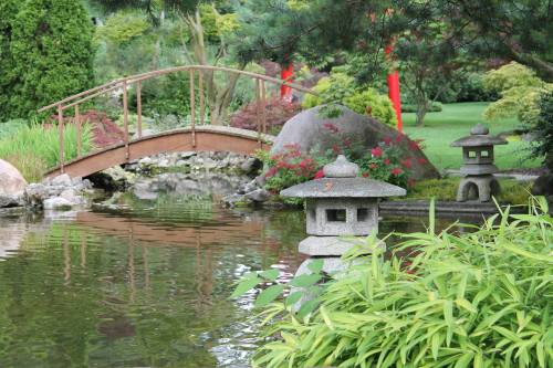 A serene garden scene featuring a wooden bridge, stone lanterns, and lush greenery reflected in a calm pond.